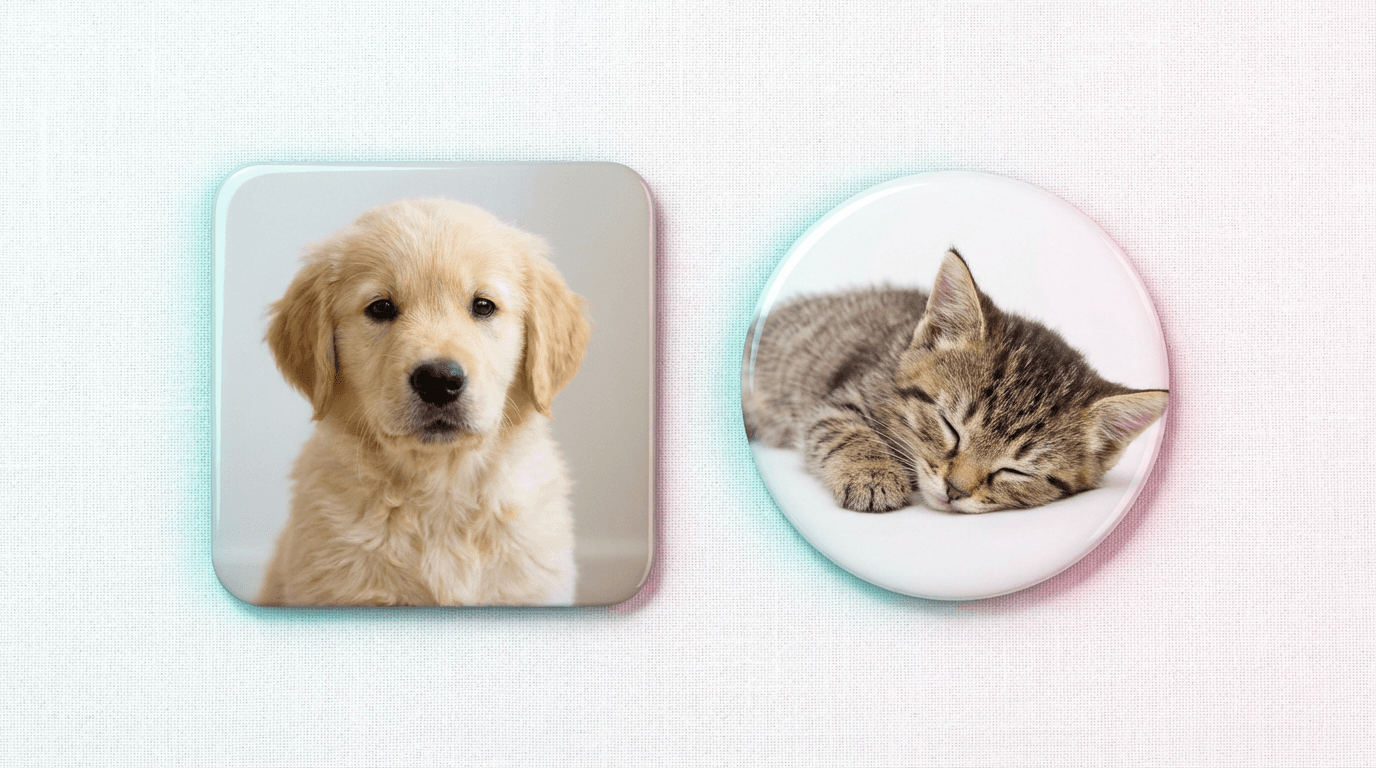 Square and circle photo magnets on a clean surface